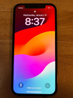 iPhone 12 Pro 256GB