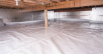 š Magazine Quality Renovations, Property Maintenance + Mold Removal