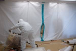 🏠  Mold Removal, Tests and Water Damage Specialists.10 Year Warranty