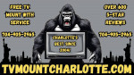 🚨🦍📺 TV MOUNTING SPECIAL! 9️⃣9️⃣ $99 AND UP - FREE MOUNT