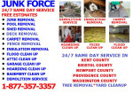 JUNK +SHED +TREE +FENCE+DECK+POOL REMOVAL SERVICES__DEMOLITION SERVICE