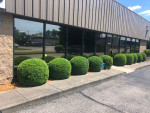 Call SWIFT LAWNCARE for a free estimate on landscaping & mowing!! 🌻