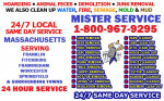 BASEMENT ATTIC GARAGE CLEAN UP===HOARDING + FECES +JUNK +WATER REMOVAL
