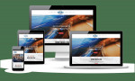 WEB DESIGN |PHONE APP SOCIAL MEDIA, SEO, WEBSITE DESIGN