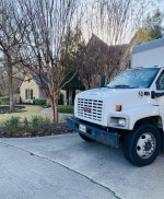 BEST MOVERS IN SAN ANTONIO