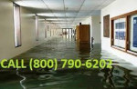 Handyman, Painting, Flooring, Flood Water Damage, Fire, Mold, Sewage