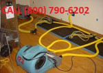 Handyman, Painting, Flooring, Flood Water Damage, Fire, Mold, Sewage