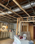 🏠  Mold Removal and Water Damage Solutions. Renovations + Mold Tests
