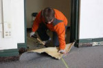 JUNK +SHED +TREE +FENCE+DECK+POOL REMOVAL SERVICES__DEMOLITION SERVICE