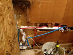 80 $ PER HR Handyman Special,Any Type of hard Labour 7262171758