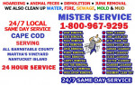 BASEMENT ATTIC GARAGE CLEAN UP===HOARDING + FECES +JUNK +WATER REMOVAL