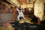 BASEMENT ATTIC GARAGE CLEAN UP===HOARDING + FECES +JUNK +WATER REMOVAL