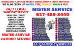 BASEMENT ATTIC GARAGE CLEAN UP===HOARDING + FECES +JUNK +WATER REMOVAL