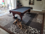 Professional Assembly Service Pool Table Air Hockey Foosball Ping Pong
