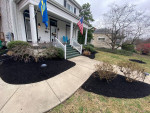 Call SWIFT LAWNCARE for a free estimate on any service !!! 🌻