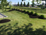 Call SWIFT LAWNCARE for a free estimate on Aeration&Powerseeding!! 🌻