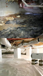 Crawlspace Repair,Insulation,Painting,Gutter Cleaning,Roofing,Wood Rot Repair