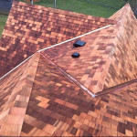 Crawlspace Repair,Insulation,Painting,Gutter Cleaning,Roofing,Wood Rot Repair