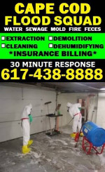 FLOOD WATER DAMAGE CLEAN UP___BASEMENT CLEANING___MOLD REMOVAL SERVICE