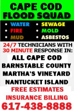 FLOOD WATER DAMAGE CLEAN UP___BASEMENT CLEANING___MOLD REMOVAL SERVICE