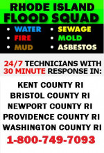 FLOOD WATER DAMAGE CLEAN UP___BASEMENT CLEANING___MOLD REMOVAL SERVICE