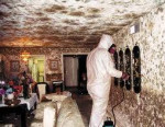 WATER DAMAGE CLEANUP__FLOOD CLEANING SERVICES__SEWAGE CLEAN UP+REMOVAL