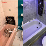 All Around Handyman / Home Improvement Contractor