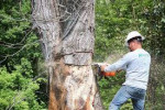 TREE +DECK +POOL+SHED+FENCE +JUNK REMOVAL SERVICES__DEMOLITION SERVICE