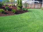 Lawn and Landscaping Services. Res and Comm.