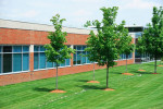 Lawn and Landscaping Services. Res and Comm.