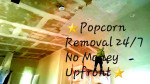 👉✔POPCORN CEILING REMOVAL✔ SMOOTH FINISH ✔PRIMED & PAINTED