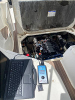 Boat Buffing, Wax & Bottom Paint