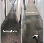 3ROOMS100.00HIGH QUALITY CARPET CLEANING *truckmounted*powerstretching