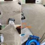3ROOMS100.00HIGH QUALITY CARPET CLEANING *truckmounted*powerstretching