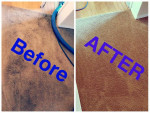 ⚡️ ⚡️ ⚡️ Carpet Cleaning, Tile Cleaning & Upholstery Cleaning -⚡