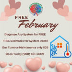 Free Furnace or Boiler Diagnosis and Only $39 for a Maintenance