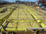 Project Management For Hire New Residential & Commercial Development