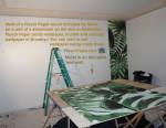 Wallpaper Installed - Lime Wash - Decorative Paint and Plaster