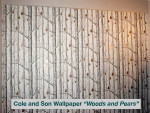Wallpaper Installed - Lime Wash - Decorative Paint and Plaster