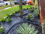 Best Landscaping prices Quality Results