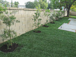 SOD INSTALLATION- SPRINKLERS - SERVICES CALL (562)-313-4946