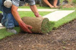 SOD INSTALLATION- SPRINKLERS - SERVICES CALL (562)-313-4946