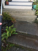 ⭐⭐⭐ 5 STAR RATED HOME SERVICES | Pressure Wash, Soft Wash, Power Wash