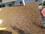 ⭐⭐⭐  DIRTY ROOF? We can fix that! Professional Cleaning & Maintenance
