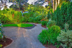 ๐ Yard Work, Clean Up, Tree Service, Pruning, Ecological Maintenance