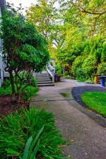 ๐ Yard Work, Clean Up, Tree Service, Pruning, Ecological Maintenance