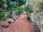 ๐ Yard Work, Clean Up, Tree Service, Pruning, Ecological Maintenance