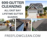 $99 Gutter cleaning, -EAST BAY - TREE REMOVAL, Gutter guards, Roof Cleaning, TRE