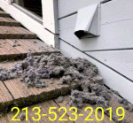 TIME TO CLEAN YOUR DRYER VENTš„š„Limite time Special $69.99š„š„duct repa