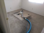 🚧🛑Before You Hire Any Carpet | Tile Cleaning/Check me out😊